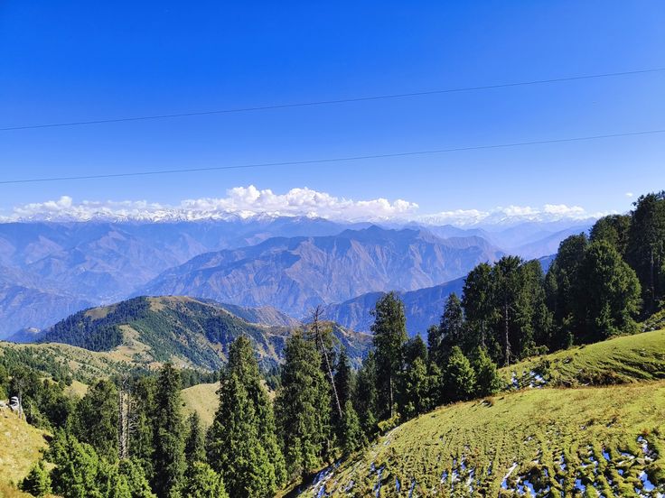 best dmc in India—Heaven Nights DMC