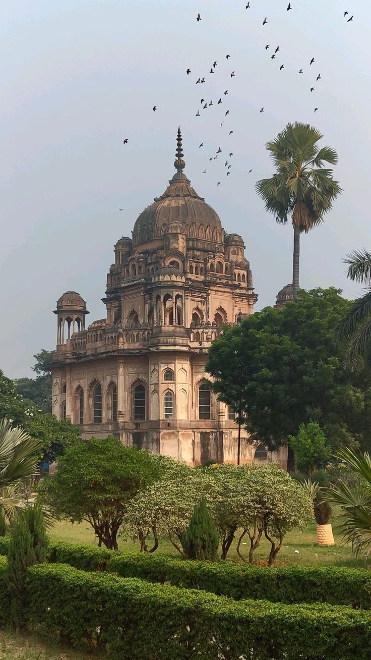 best dmc in india-heavennightsdmc